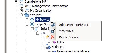 7 The View WSDL toolbar button is enabled when the Service element is selected in the Registry tree. The same option is available by performing a right-click on the Service element.