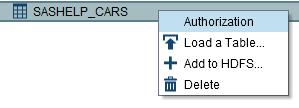Following the SAS Visual Analytics: Administration Guide gives you the ability to apply row-level permission conditions.