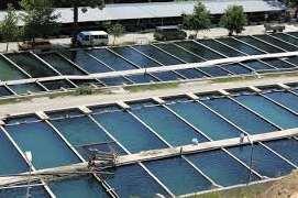 Monitored Applications Fish Farm/Aquaponics Water Quality Monitoring Increasing business activity to grow fish at fish farms due to poor ocean conditions to catch in the wild Fishes are valuable