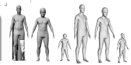 Popović. Articulated body deformation from range scan data. ACM Transactions on Graphics (ACM SIGGRAPH 2002), 21(3):612 619, 2002. [2] B. Allen, B. Curless, and Z. Popović.