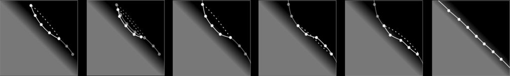 After several iterations all vertices are on the closest edge. are attracted to each other despite being far away from each other spatially due to our closed-loop snake spline formulation.