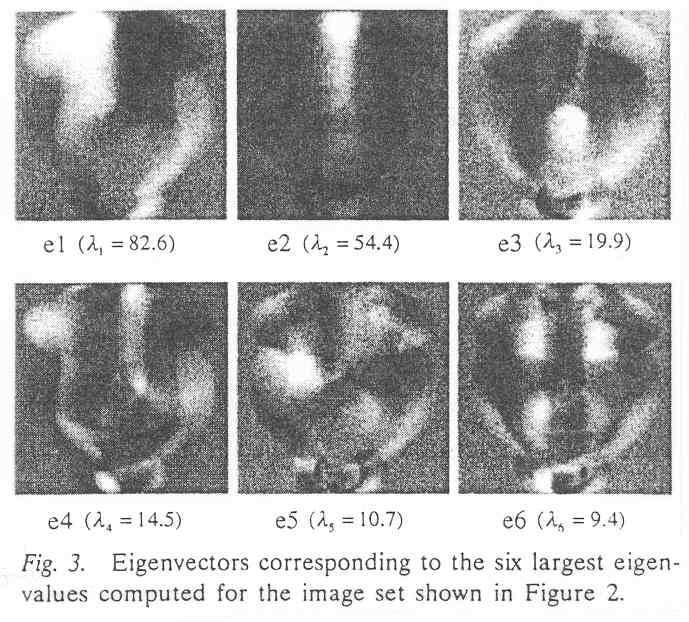 -5- Eigenspace construction -The eigenspace of the normalized images is constructed by computing the principal components.