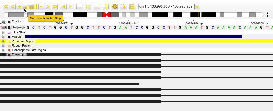 The Genome Browser window For zoom levels where displaying either the sequence or the color coded nucleotides isn't possible, the sequence track will just show checkered grey and yellow squares.