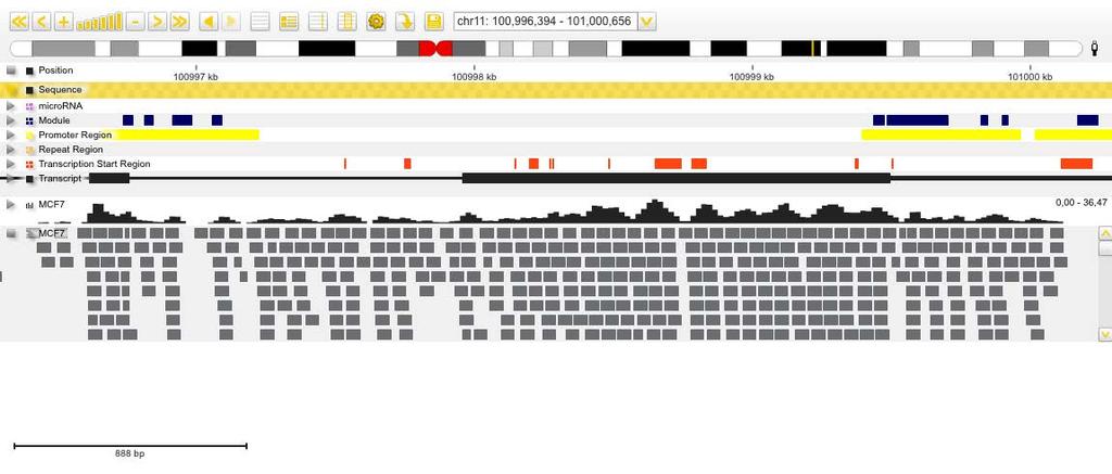 The Genome Browser window Strand-specific coverage tracks with the plot type 'Region map' are displayed like strand-specific annotation tracks.