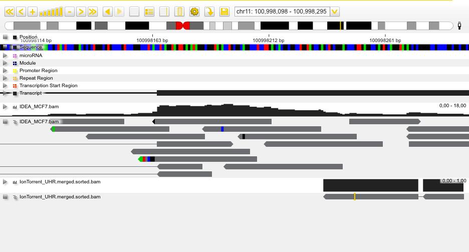 The Genome Browser window yellow bar ( available. ).
