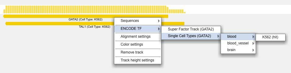 The Genome Browser window type-specific TF track. Double clicking on the peak of a TF filters the options to the according TF.