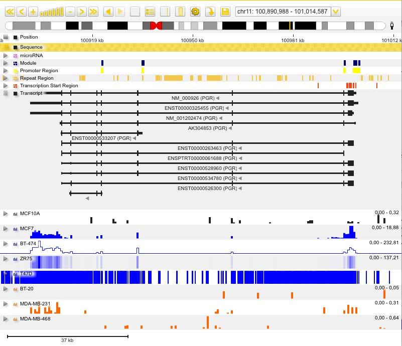 Customizing Genome Browser Example Below you can see an example combining several settings in one view: It shows the four different chart types: bar chart (MCF7, first blue track), line plot (BT474,