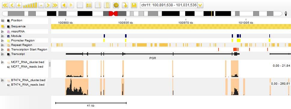 Customizing Genome Browser positions, the read distribution within the cluster and the relative coverage all in a single track for each experiment: Track legend The track legend is by default