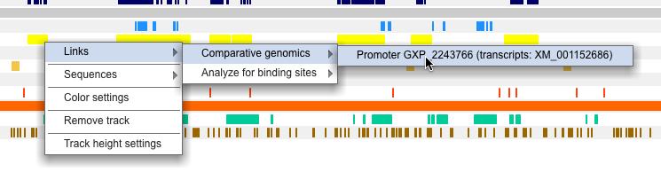 Links More detailed information can be obtained for most annotation elements: exon, microrna, module, primary transcript, promoter region, transcript, transcript start