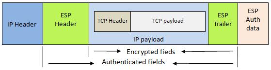 supports its own authentication or can be used in conjunction with AH ESP divides its fields into three components ESP Header ESP Trailer ESP Authentication Data