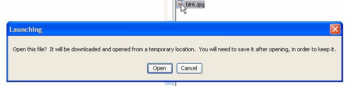 To copy or move files or folders: 1 In either the local or remote pane of Network Explorer, select the file or folder to be copied or moved.