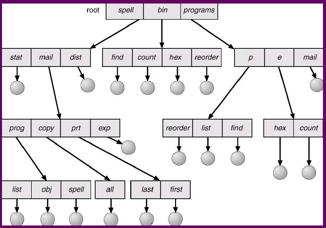 Tree-Structured Directory Absolute path: starting from the root Relative path: starting from a directory
