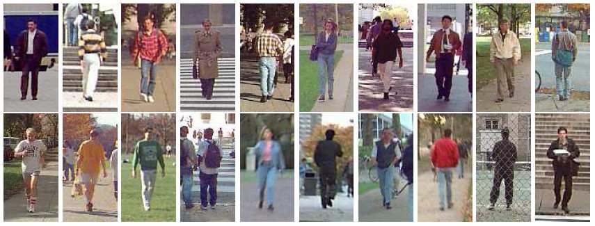 Training Data MIT pedestrian