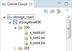 Using the Oracle Storage Cloud Service Browser. The Builds module of Oracle Developer Cloud Service opens in the web browser. 5.