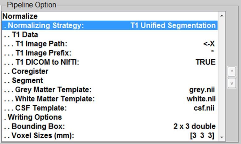 5.1.5.2. T1 unified segmentation T1 Image Path: The subjects T1 image directory. T1 Image Prefix: The prefix of T1 image. DICOM to NIFTI: Execute DICOM to NIFTI transformation or not.