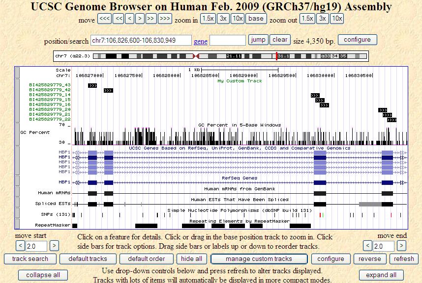 Looking for regions with high GC using UCSC Genome Browser Look for regions of high GC (>65%) by using the GC Percent track on the UCSC Genome Browser.