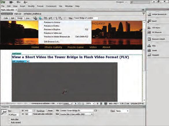 Working with Images and Multimedia CHAPTER A A gray Flash Video box appears in the Document window. 8 You can change the Flash Video settings in the Property inspector.