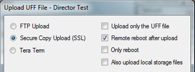 Once these options have been configured, click the Upload button to transfer the configuration to the Director.