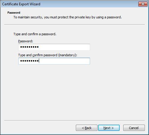 7. Type in a password and click Next. 8.
