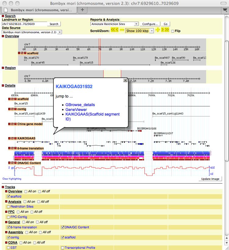 3.3 GBrowse [Features] - with a graphical representation of a section of a chromosome. [Link] - Click designated region on Details and sequence and ID are displayed in another page.