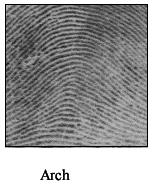 The first step of fingerprint classification is to clean up the image by removing