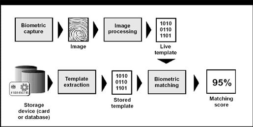 In verification mode, the system validates a person s identity by comparing the captured biometric characteristic with the individual s biometric template, which is prestored in the system database.