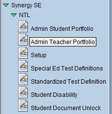 The Admin Teacher Portfolio Screen Special Education User Guide The Admin Teacher Portfolio screen displays Synergy SE users for the current focus school, including Staff name, Role, and Student