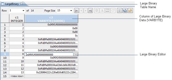 5: Table Data Development 1. Open a table that contains rows of large binary data to edit in the Table Data Editor.