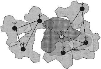 Ad Hoc Wireless Networks in Star Topology The wireless sensor networks (WSN) [4], created by connecting sensor nodes, can use any of the following topologies: star, hybrid star and mesh.