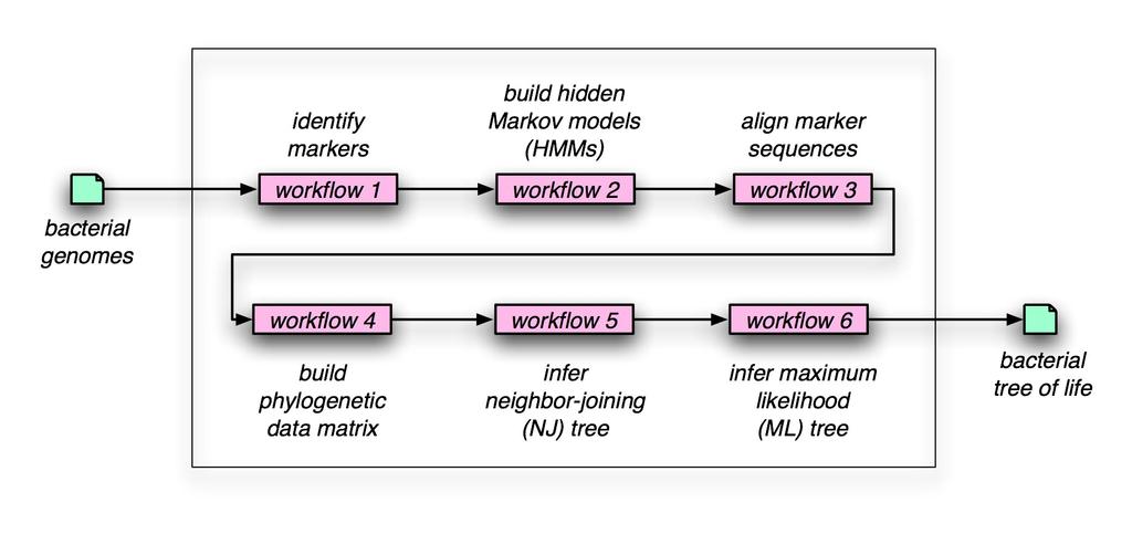 Conceptual workflows: