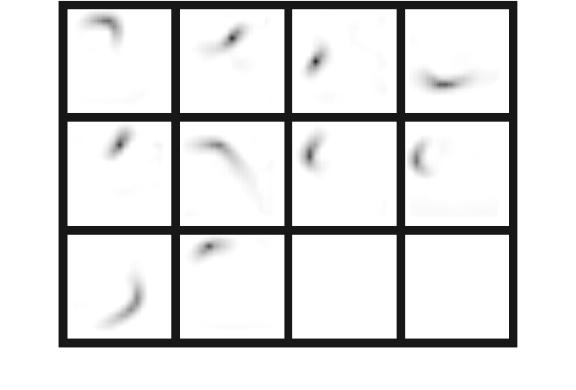 The templates learned by the autoencoder Each template is multiplied by a casespecific