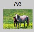 60 0.75 Horses 0.65 0.72 0.70 0.71 Average 0.62 0.57 0.63 0.74 Figure 5. Example results for the flower as query image Query image Results Figure 8. Comparison of average precision Figure 6.