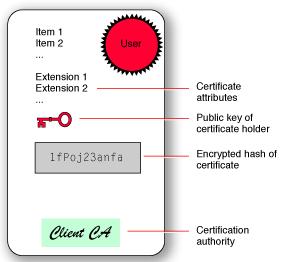 What Exactly Is a User or Device Certificate? A Digital Identity File conforming to a standard (X.