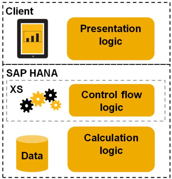 What is SAP HANA XS?