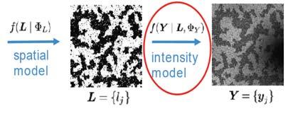 Include an explicit model for the bias field in the intensity model Bias field is usually assumed to be multiplicative After logarithmic transformation => bias field becomes