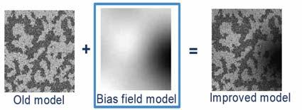 Wells Given the class labels x, it is further assumed that the ideal intensity value at pixel i follows a Gaussian distribution with parameter With the bias field bi taken