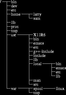 Directory Tree When you log on the the Linux OS using your