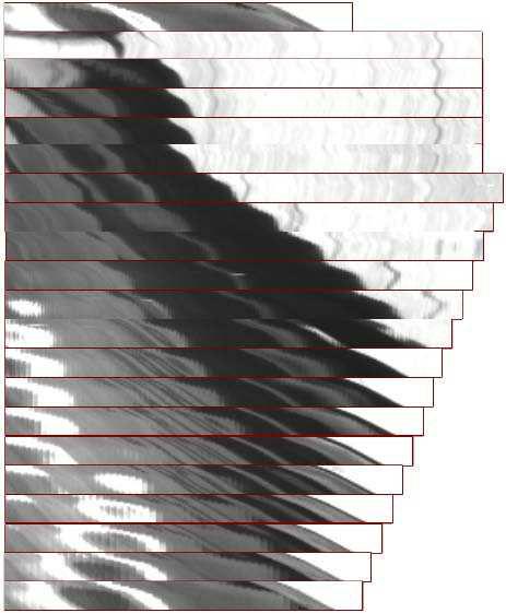 scan line 0 scan line 1 0º 180º scan line 19 scan line 20 Spatio-temporal images Line detection Histograms of Oriented Lines Spatio-Temporal Histograms of Oriented Lines (STHOL) Fig. 7.