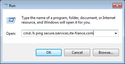 com" the address secure.iservices.rte-france.com is resolved. Your workstation is configured properly.