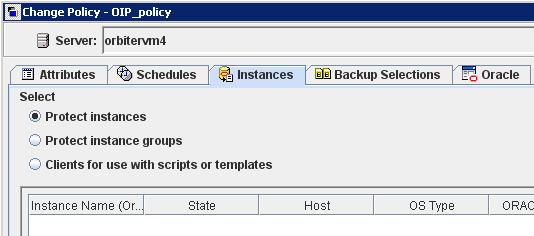NetBackup for Oracle with Snapshot Client About Oracle support for Replication Director 204 6 Select the Instances and Databases tab and specify the instances to back up.