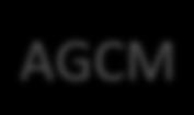 GSI Split: Added Flexibility AGCM_Appl GSI_Coupler AGCM GEOSgcm.