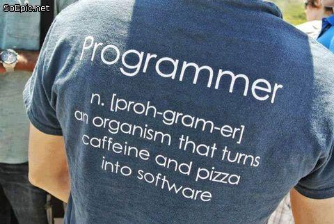 Programmer and User Programmer the person who solves the problem and writes the