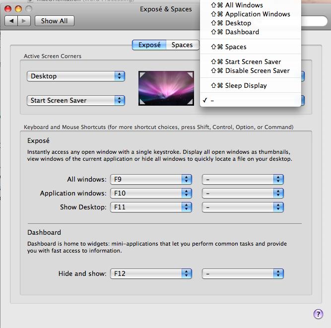 System Preferences - Expose and Spaces Select Expose to easily access any open window, display all open windows as thumbnails, view windows of the current application, or hide all windows to quickly