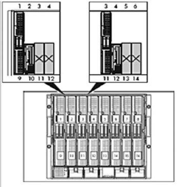 One half-height partner server blade supports one expansion blade (Figure 1). Identify the partner server blade to be installed with the expansion blade.