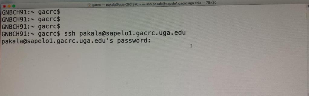 Connecting to Shell - on Mac/Linux Open a terminal and type: ssh <UGAMyID>@sapelo1.gacrc.uga.