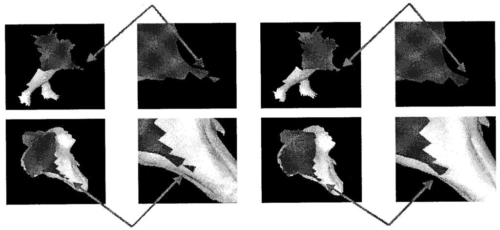 YAN et al.: ERROR-RESILIENT CODING OF 3-D GRAPHIC MODELS VIA ADAPTIVE MESH SEGMENTATION 865 Fig. 6. (a) (b) Two pieces of the Dinosaur model before and after irregular structure correction.