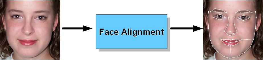 The face alignment is one of important stages of the face recognition. Moreover, face alignment is also applied for other face processing applications; such as face modeling and synthesis.