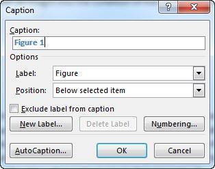 Word 2013: Beyond the Basics 29 Task 5.1 Inserting a caption Captions should always be created using Word s Insert Caption function, not simply typed in manually.