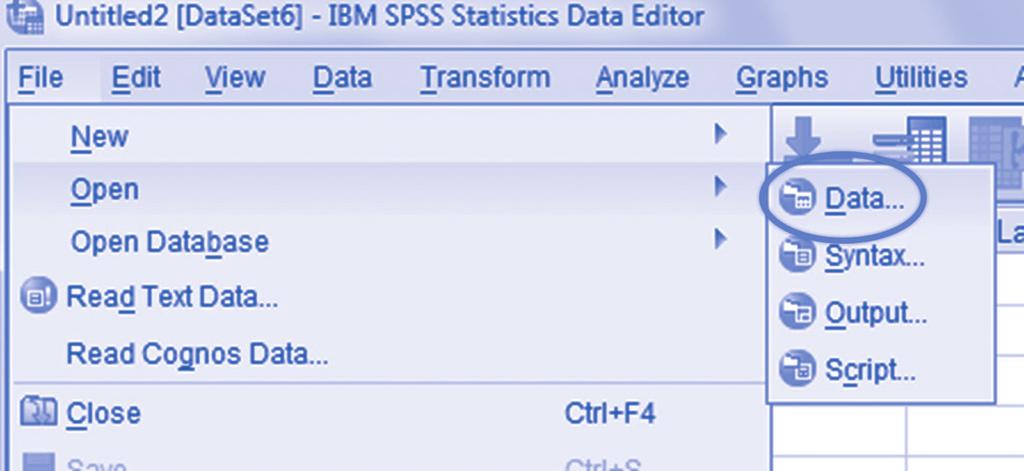 Handling Your Data in SPSS 37 We open this drop-down menu by clicking on File and then Open, which opens the short list of SPSS file types that appears on the right in the image.
