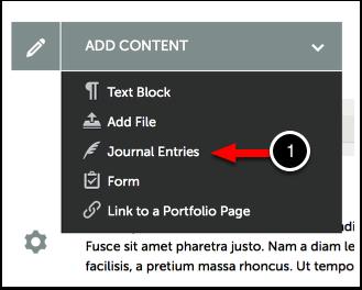Step 1: Access Journal Entries 1. Use the Add Content menu to select Journal Entries.